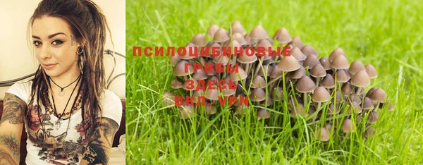 альфа пвп Краснослободск