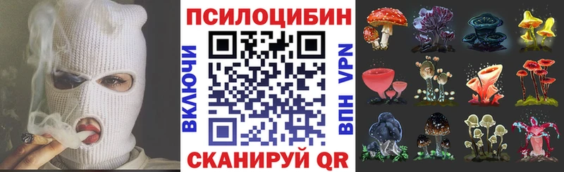 где продают   Оренбург  Галлюциногенные грибы MAGIC MUSHROOMS 