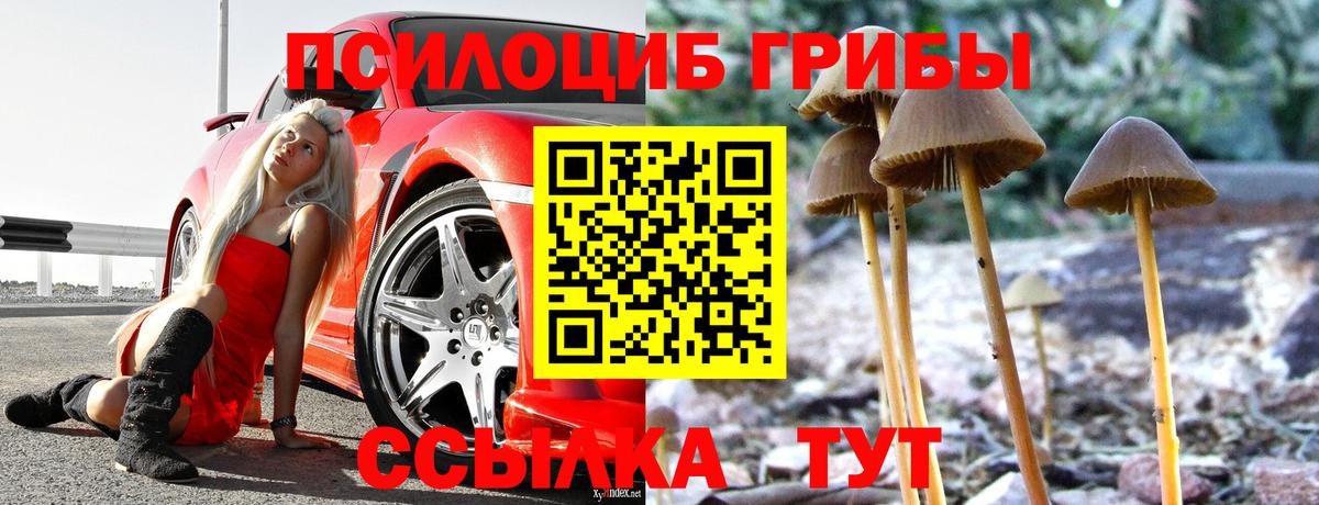 Оренбург  Псилоцибиновые грибы прущие грибы  Галлюциногенные грибы Magic Shrooms  наркошоп  Вход с VPN 